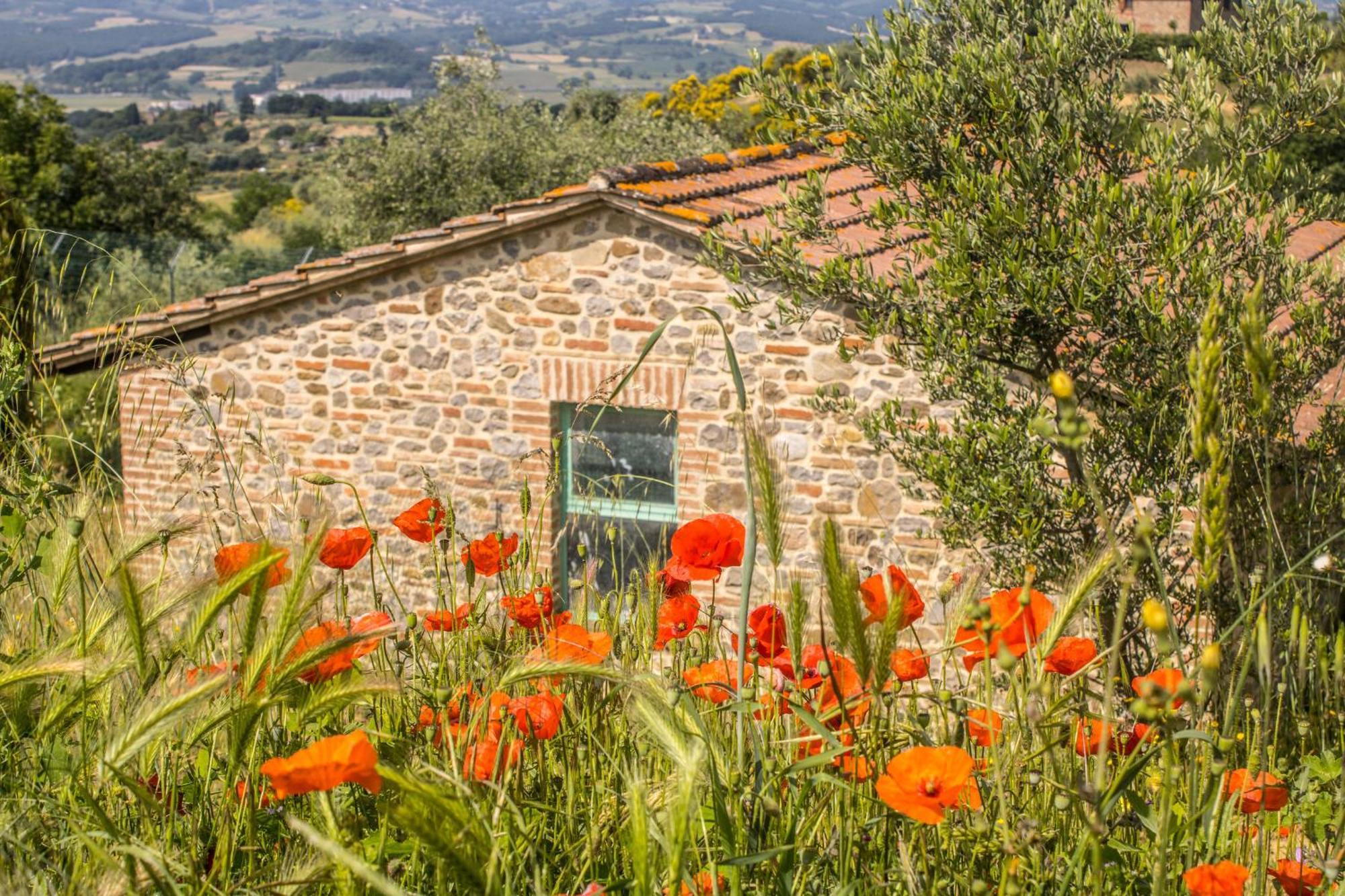 הוילה Città della Pieve Agriturismo Dandelion מראה חיצוני תמונה