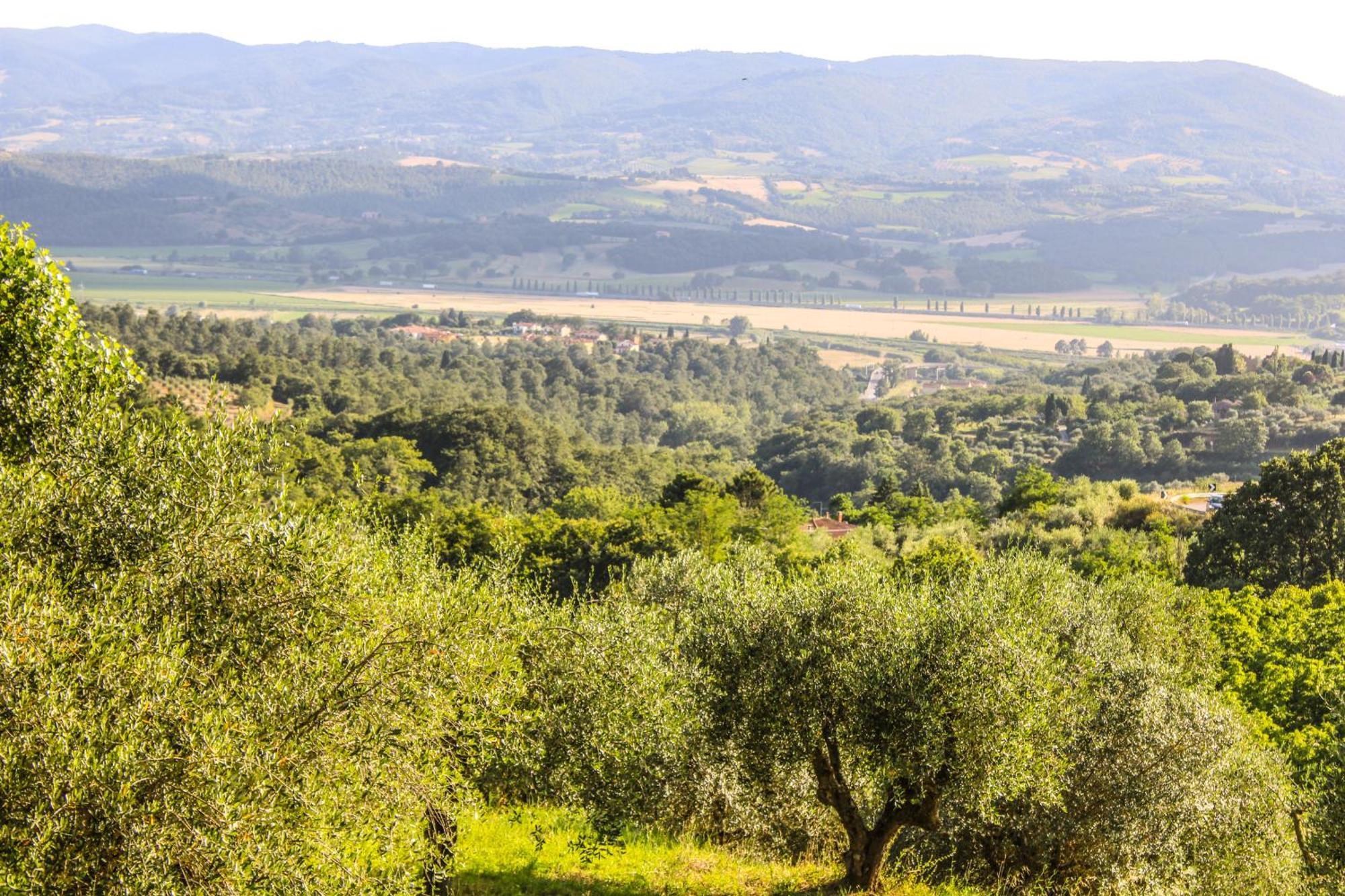 הוילה Città della Pieve Agriturismo Dandelion מראה חיצוני תמונה